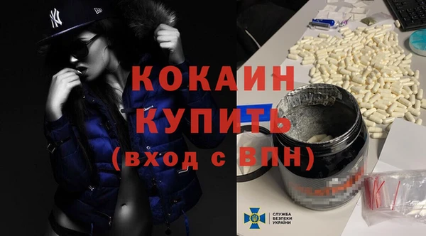 хмурый Няндома