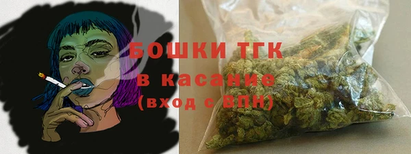 хмурый Няндома
