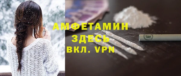сатива Новозыбков