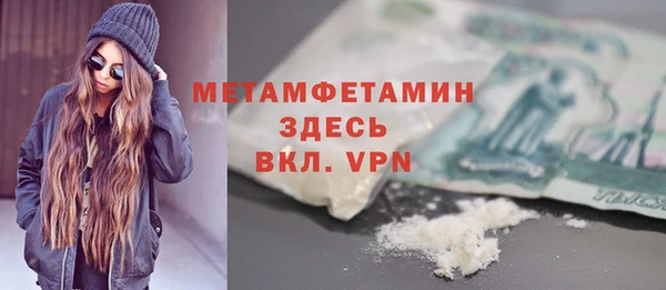 сатива Новозыбков