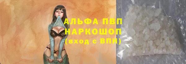 хмурый Няндома