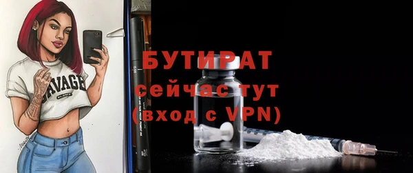 сатива Новозыбков