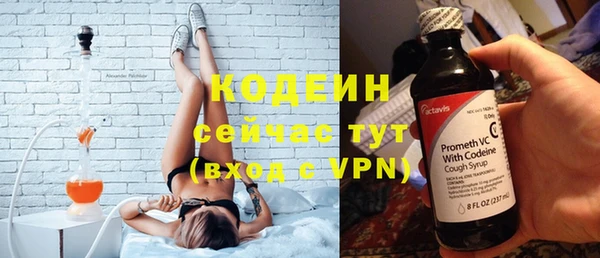 хмурый Няндома