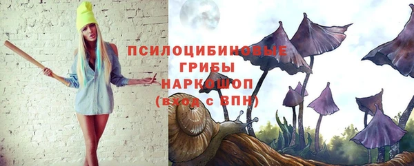 spice Нязепетровск