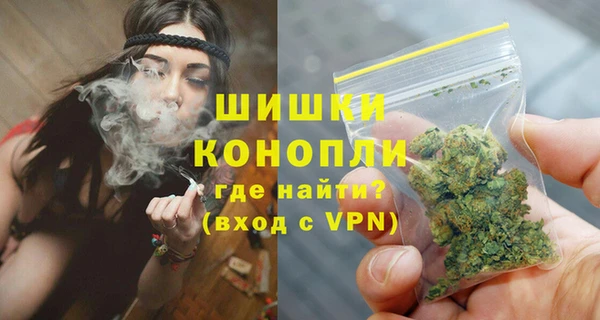 хмурый Няндома