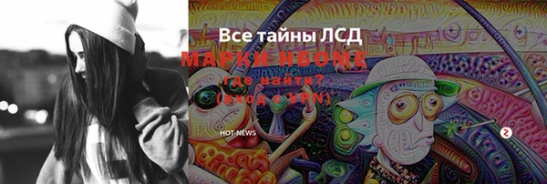хмурый Няндома