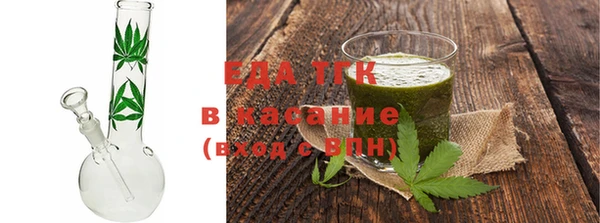 сатива Новозыбков