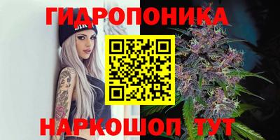 spice Краснокаменск