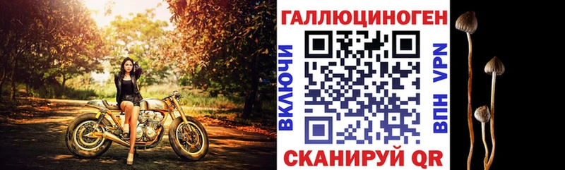 наркотики  Тольятти  MEGA маркетплейс  Галлюциногенные грибы прущие грибы 