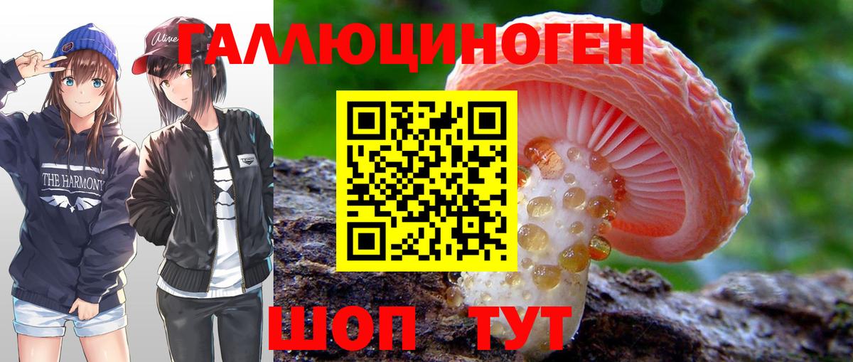 Псилоцибиновые грибы мицелий Тольятти